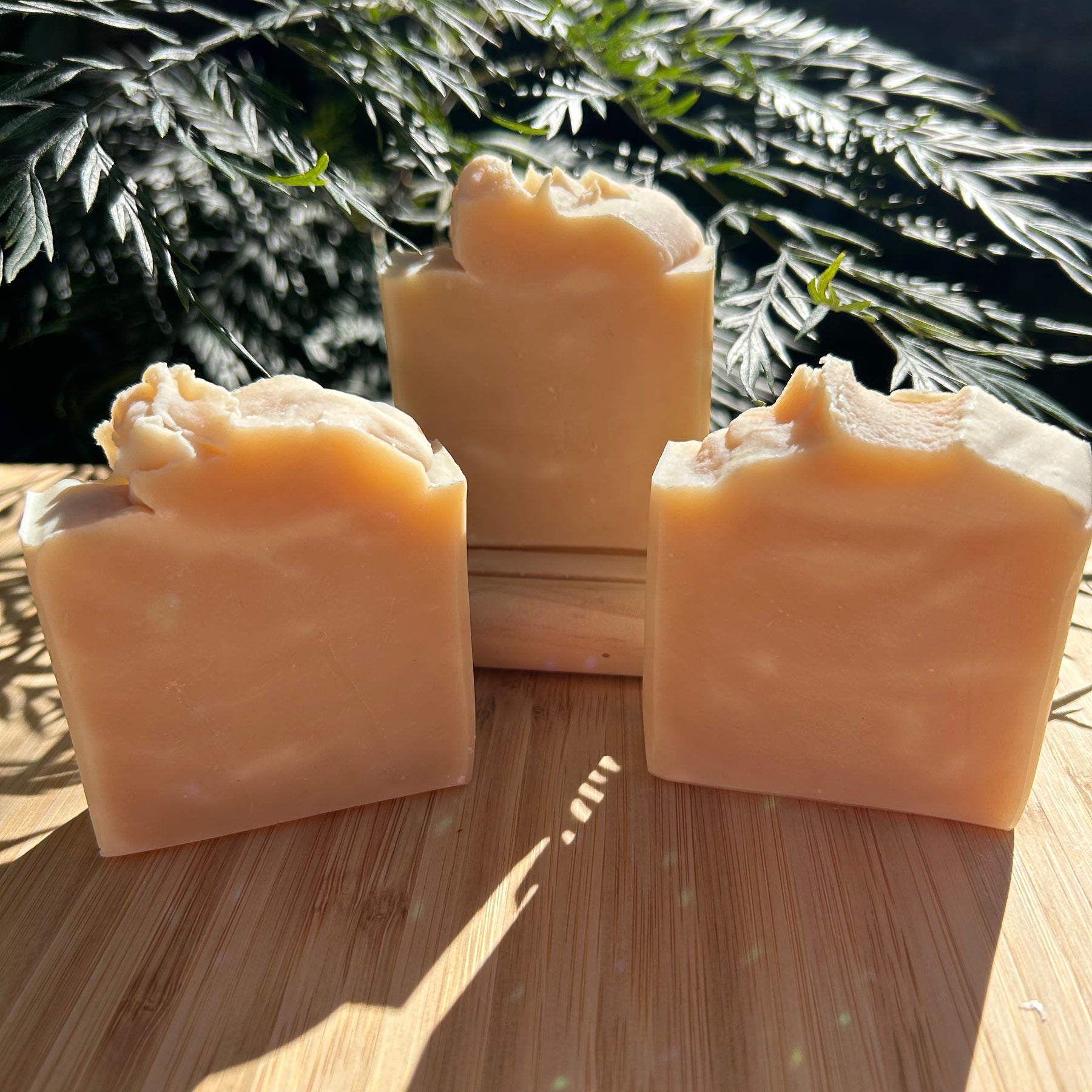 Natural Camel Milk Soap | Handmade Organic Soap | Shea Butter Soap