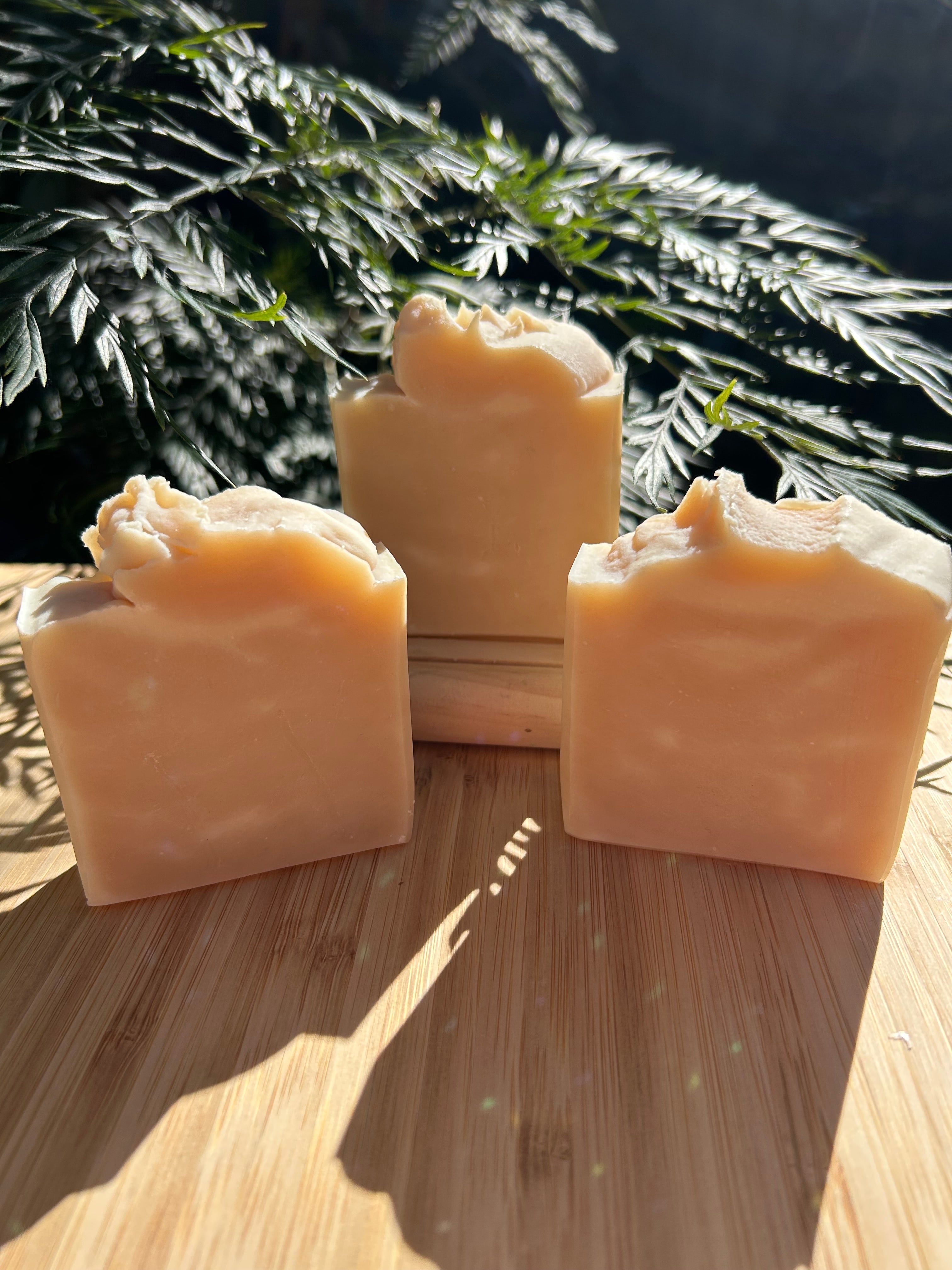 Natural Camel Milk Soap | Handmade Organic Soap | Shea Butter Soap