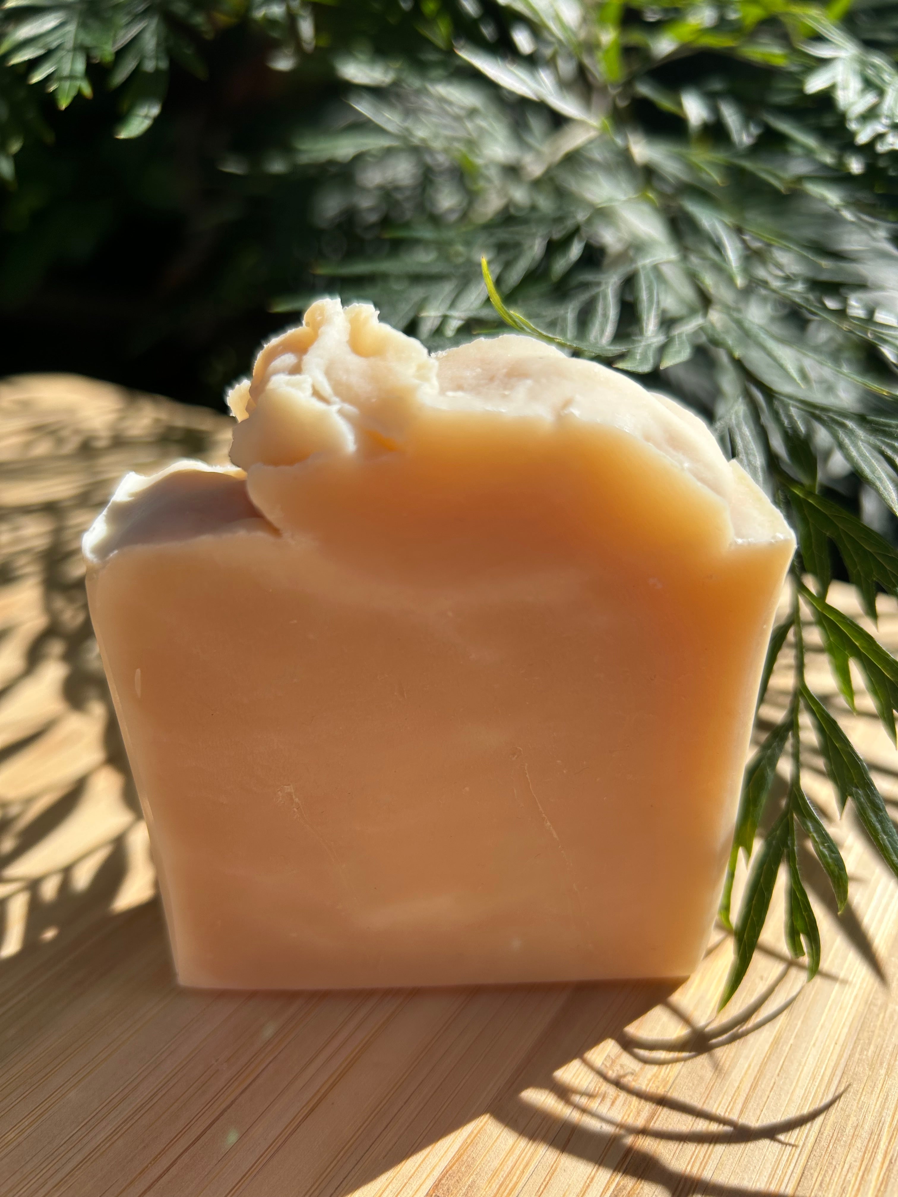 Natural Camel Milk Soap | Handmade Organic Soap | Shea Butter Soap