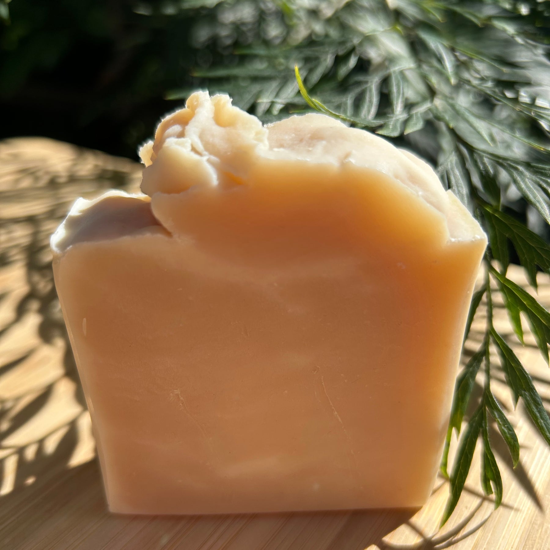 Natural Camel Milk Soap | Handmade Organic Soap | Shea Butter Soap