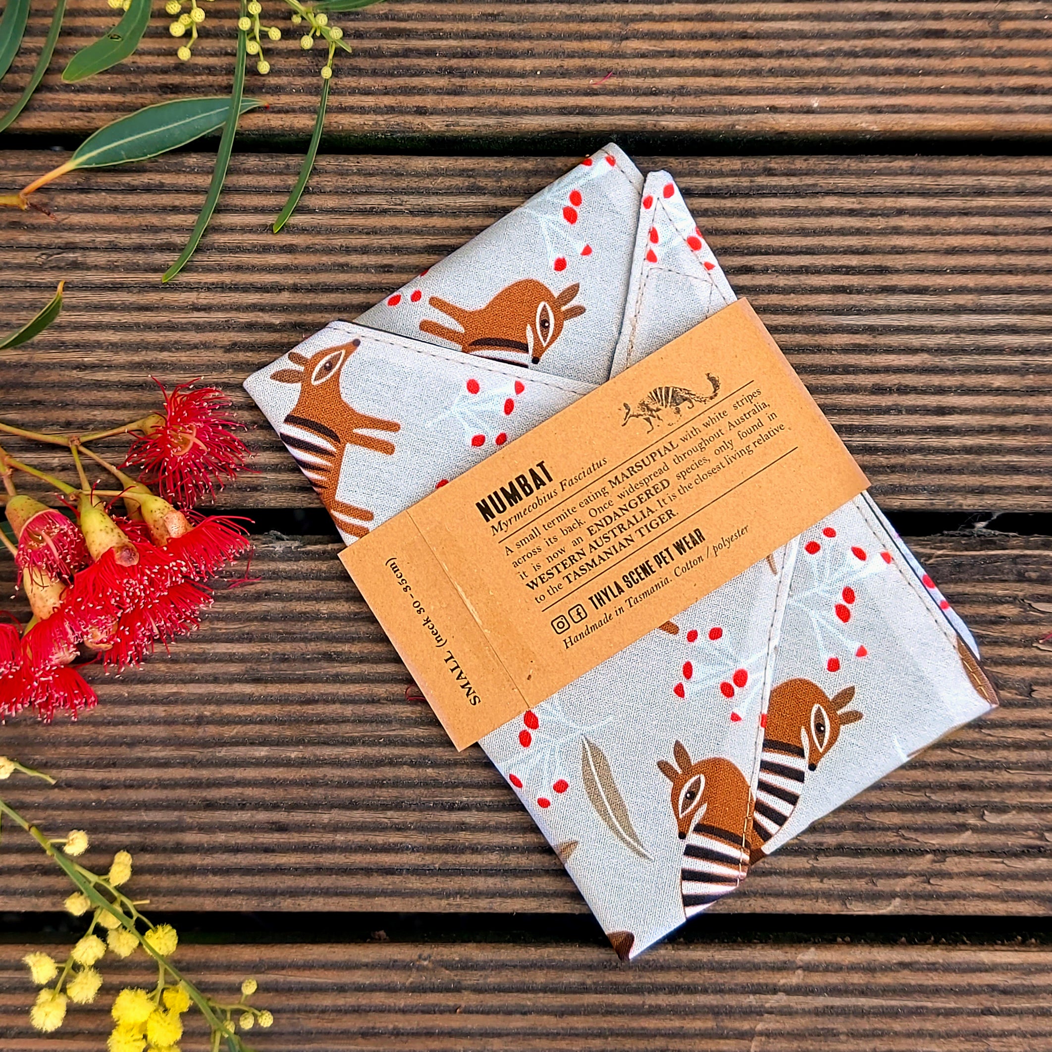 Numbat Bandanas