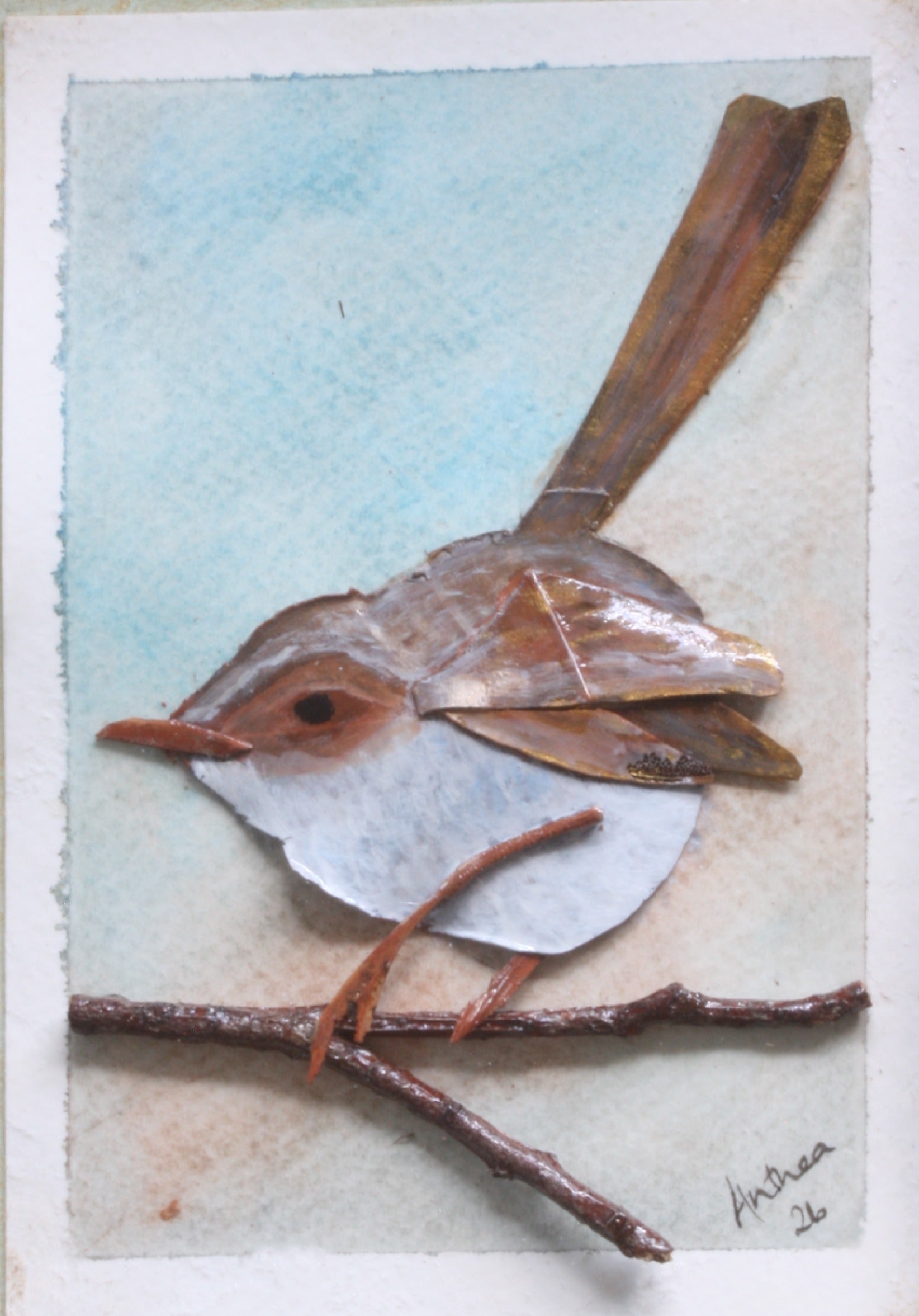 Female Fairy Wren Original Artwork