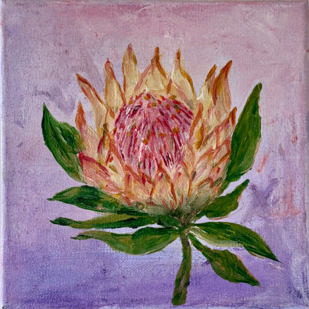 Prettiest Protea