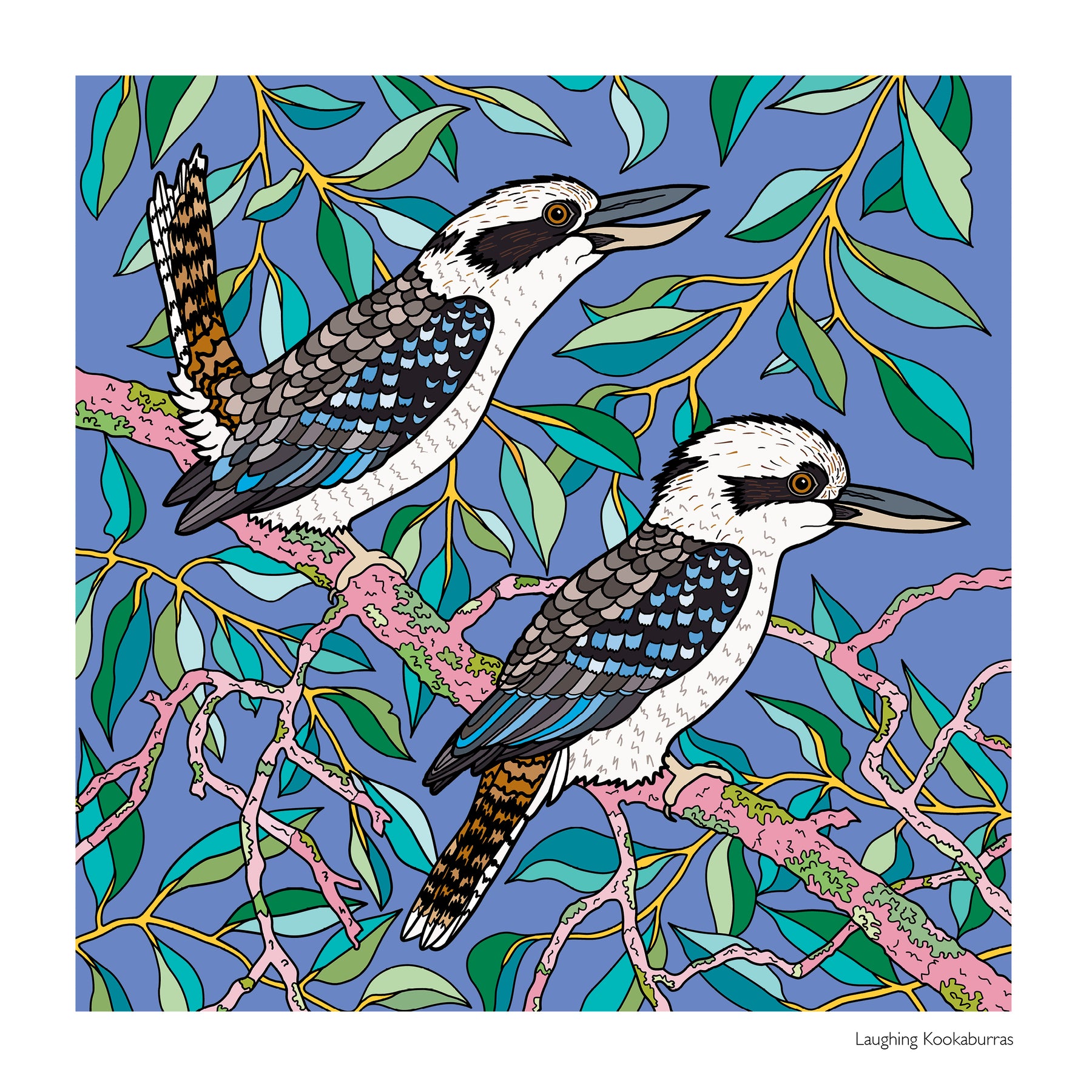 2027 Native Australian Birds and Plants Calendar
