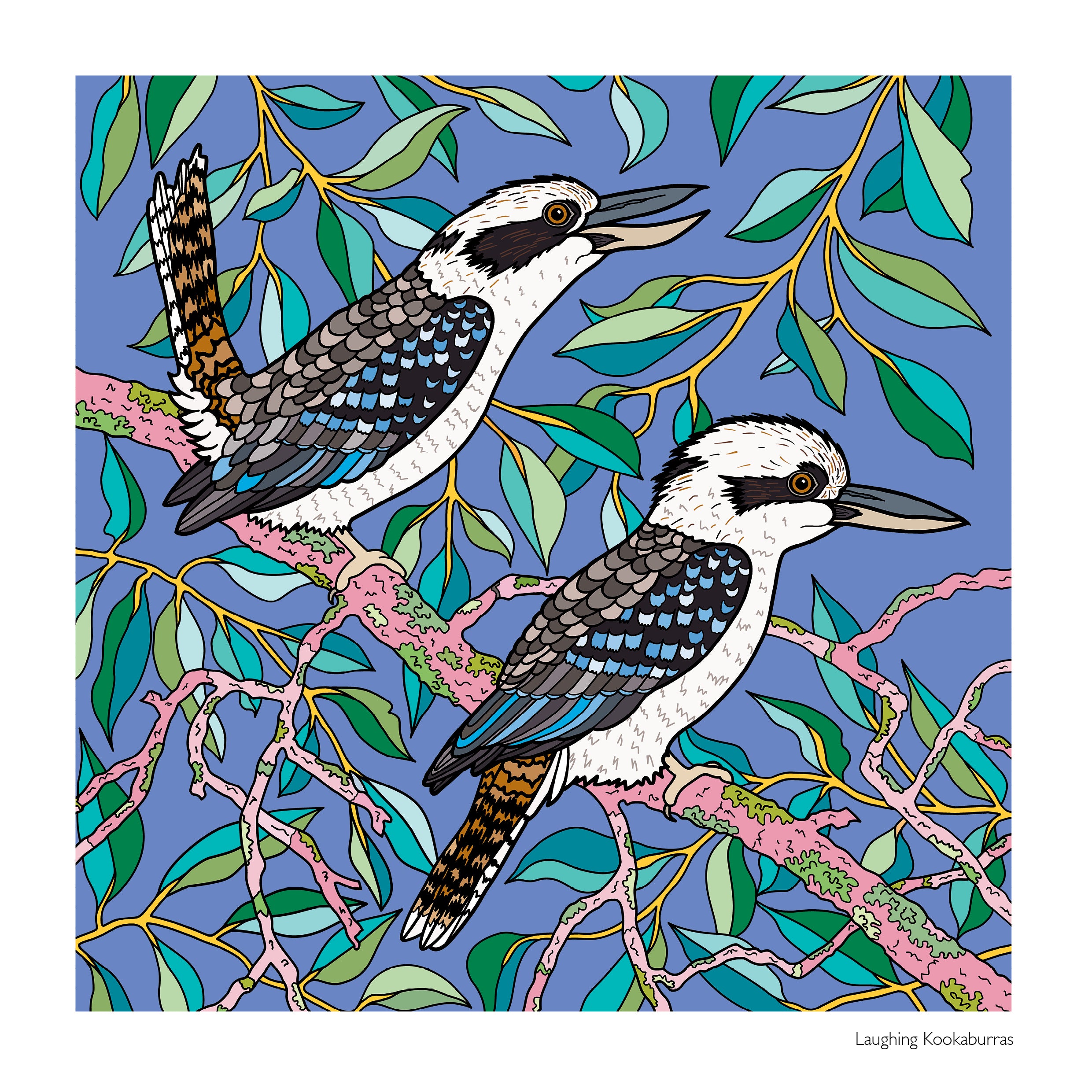 2027 Native Australian Birds and Plants Calendar