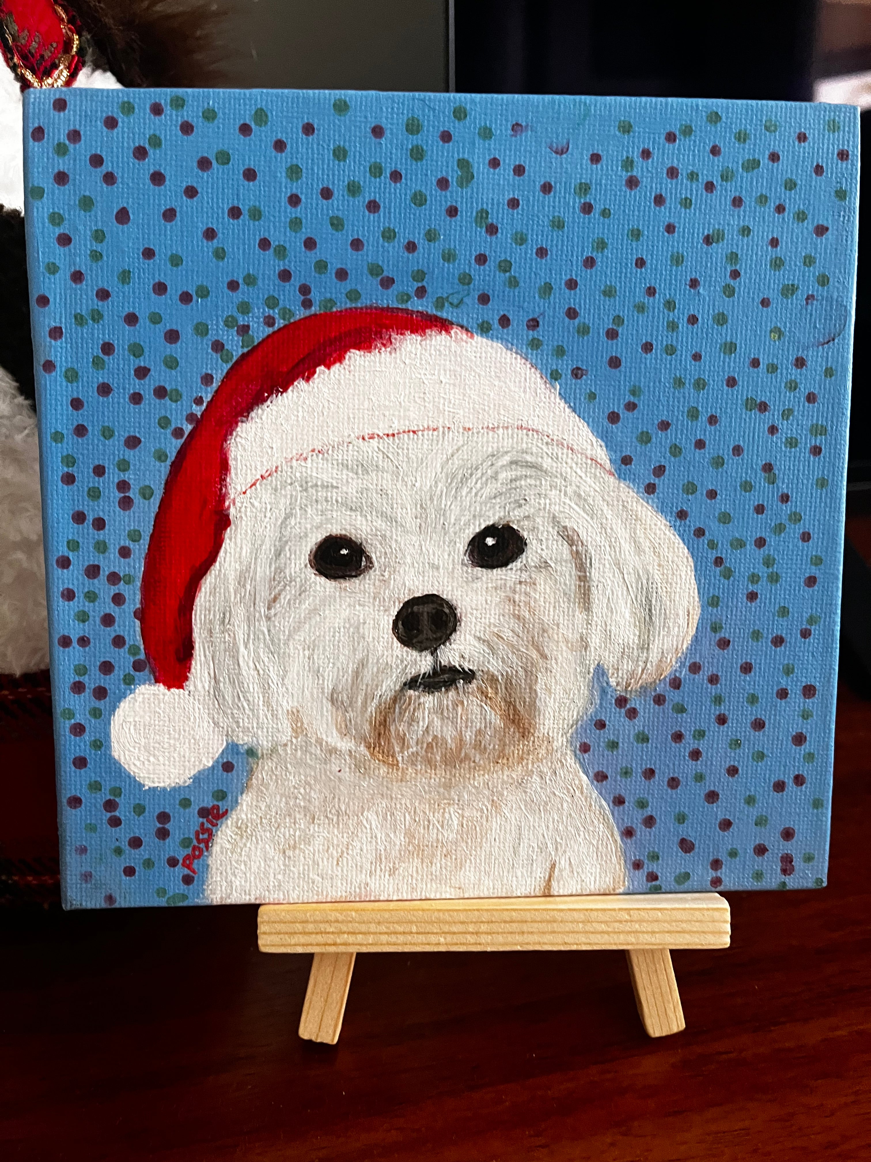 Pets in christmas Hats