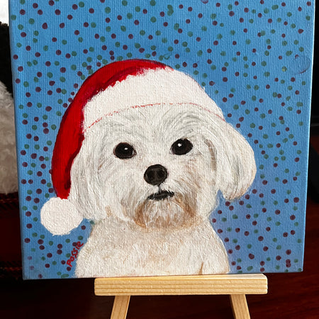 Pets in christmas Hats