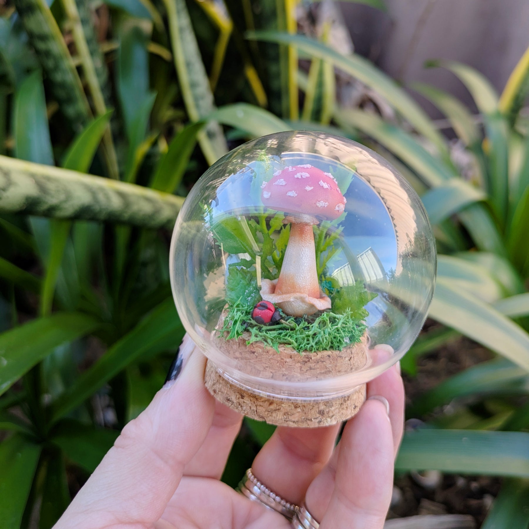 Mini Enchanted Amanita Mushroom Dome with a Ladybug