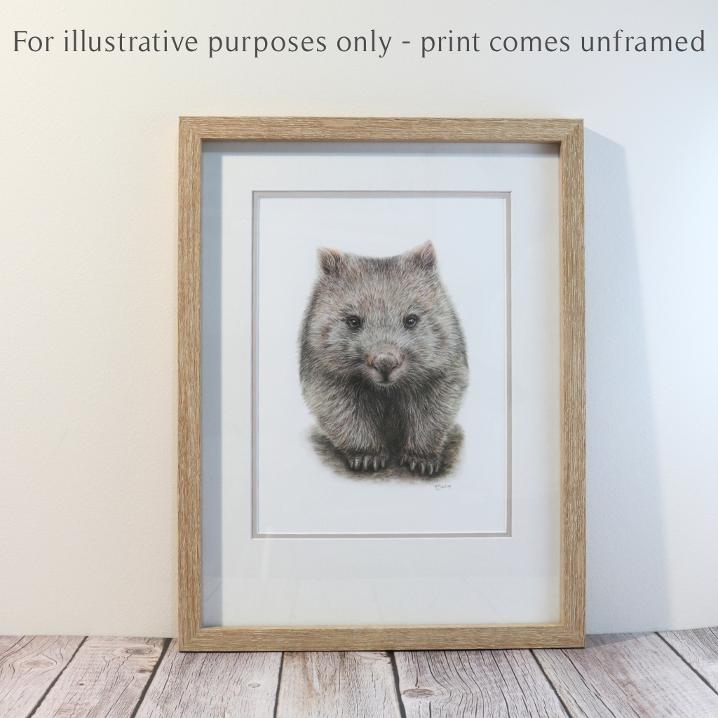 Wombat | Australian Wildlife Art Print