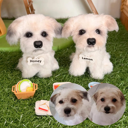 Custom Dog Replica from Photo, Poseable Art Doll, Pet Memorial Keepsake - Handmade Soft Sculpture, Personalised Plushie Ornament