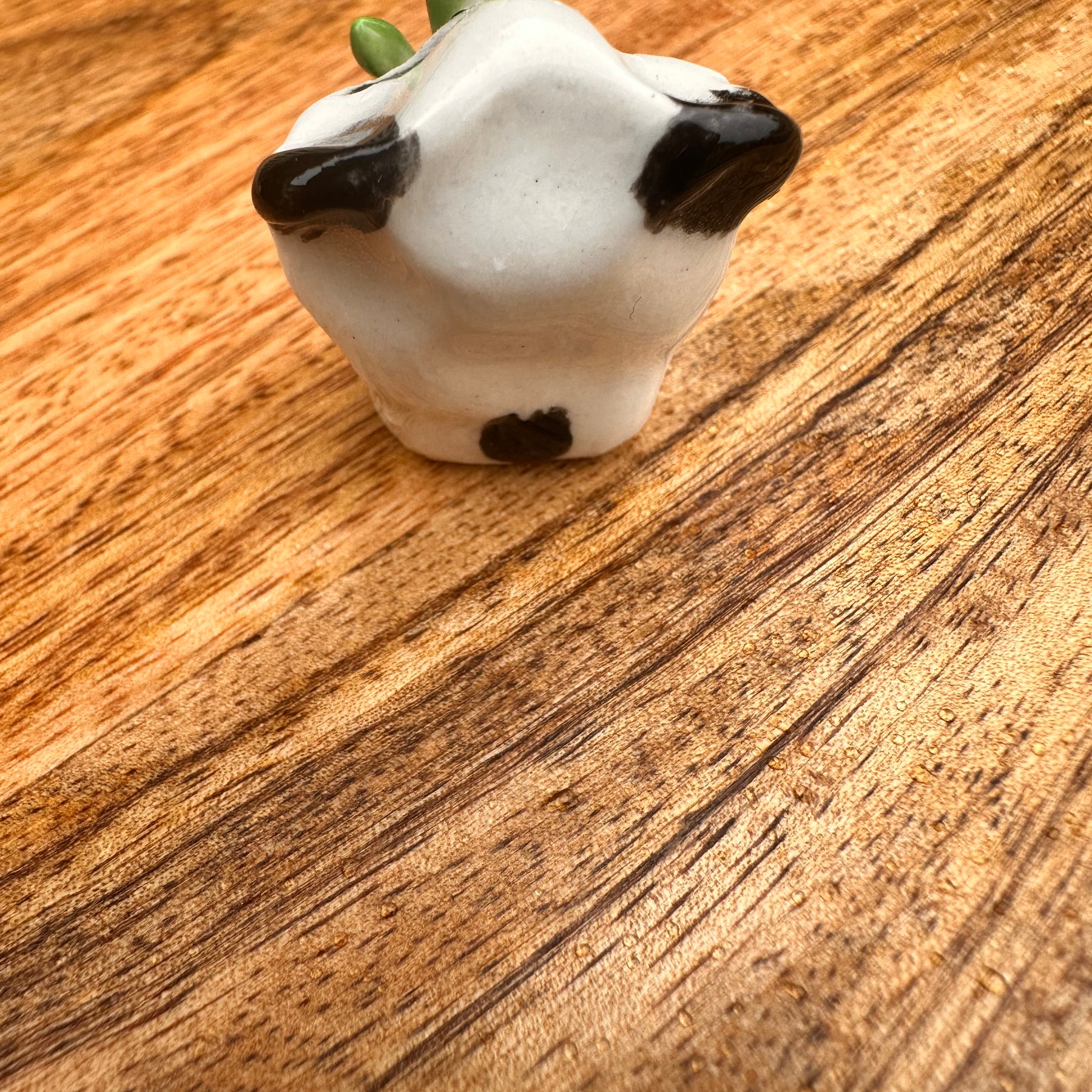 Ceramic Panda - Pocket animal collectable - Zen