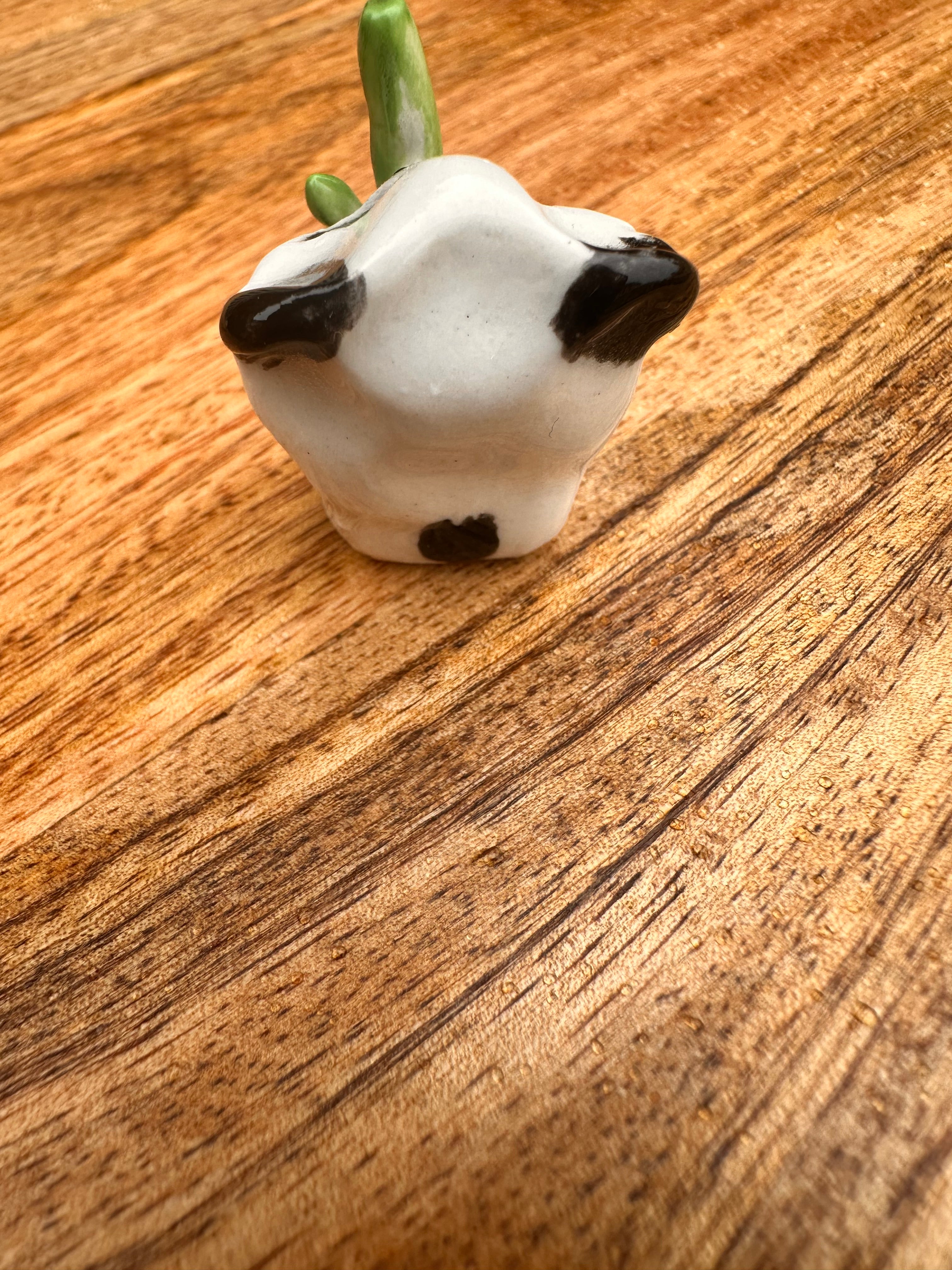 Ceramic Panda - Pocket animal collectable - Zen