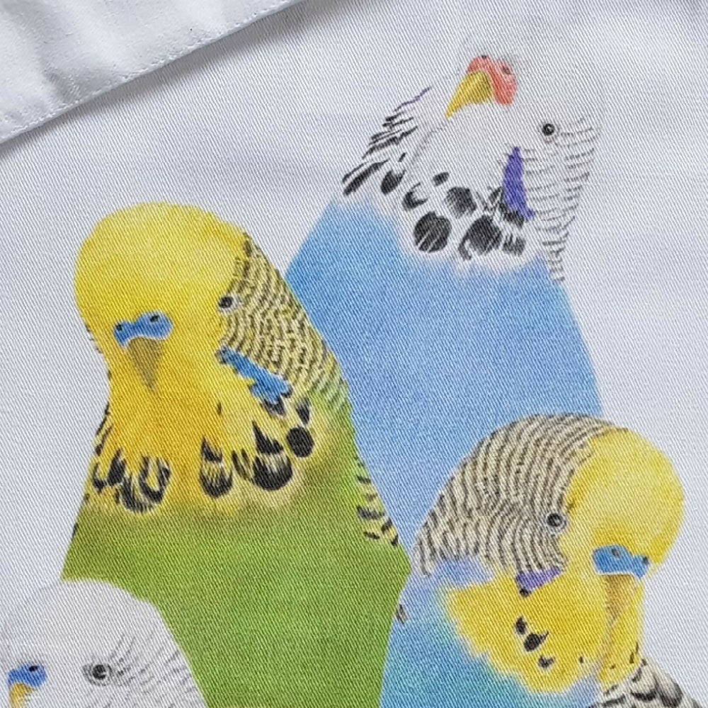 budgietotecloseup