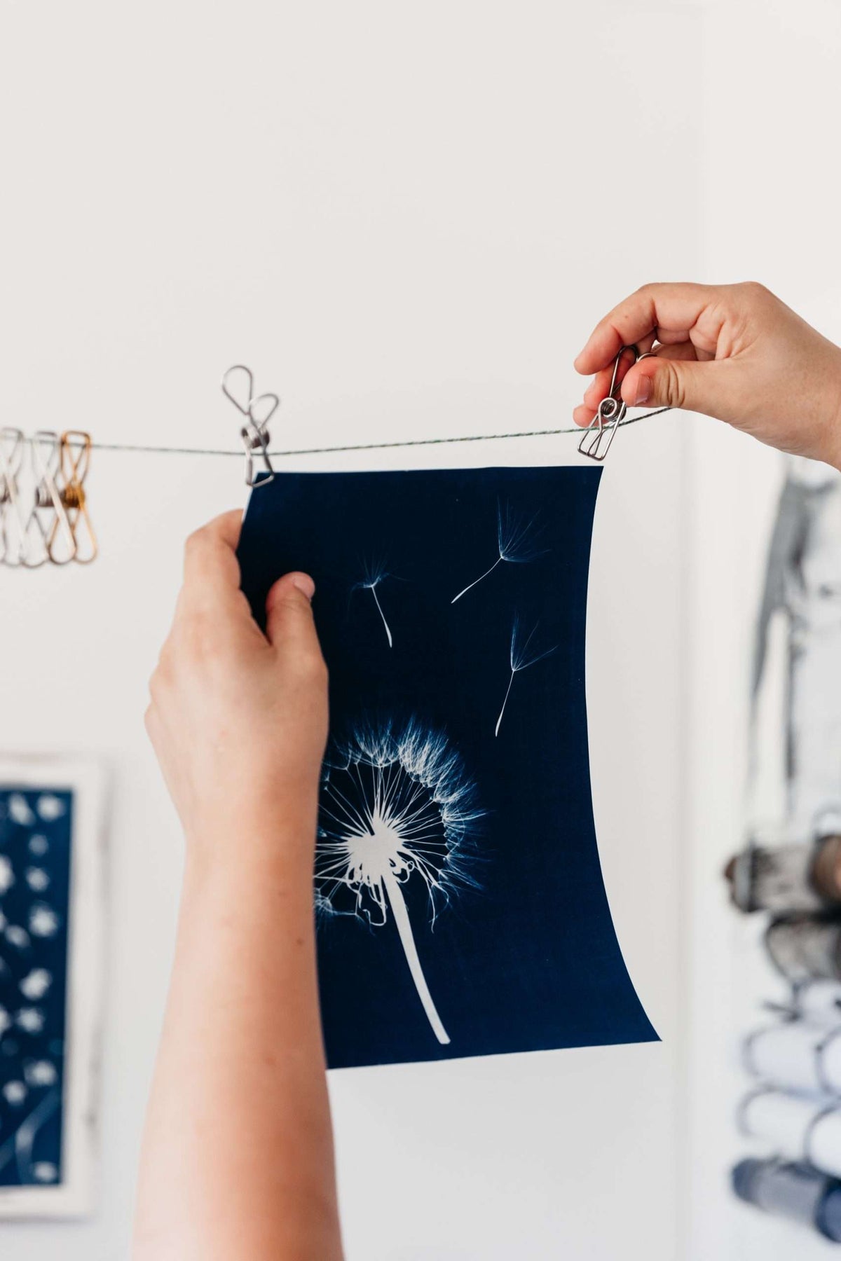 Dandelion Wall Art Print, Limited Edition A3