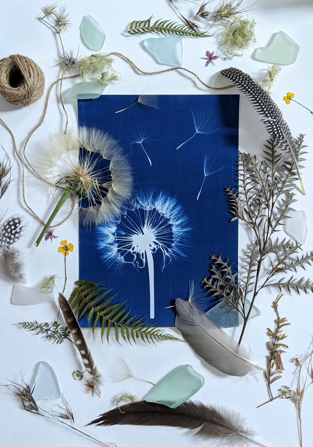 Dandelion Wall Art Print, Limited Edition A3