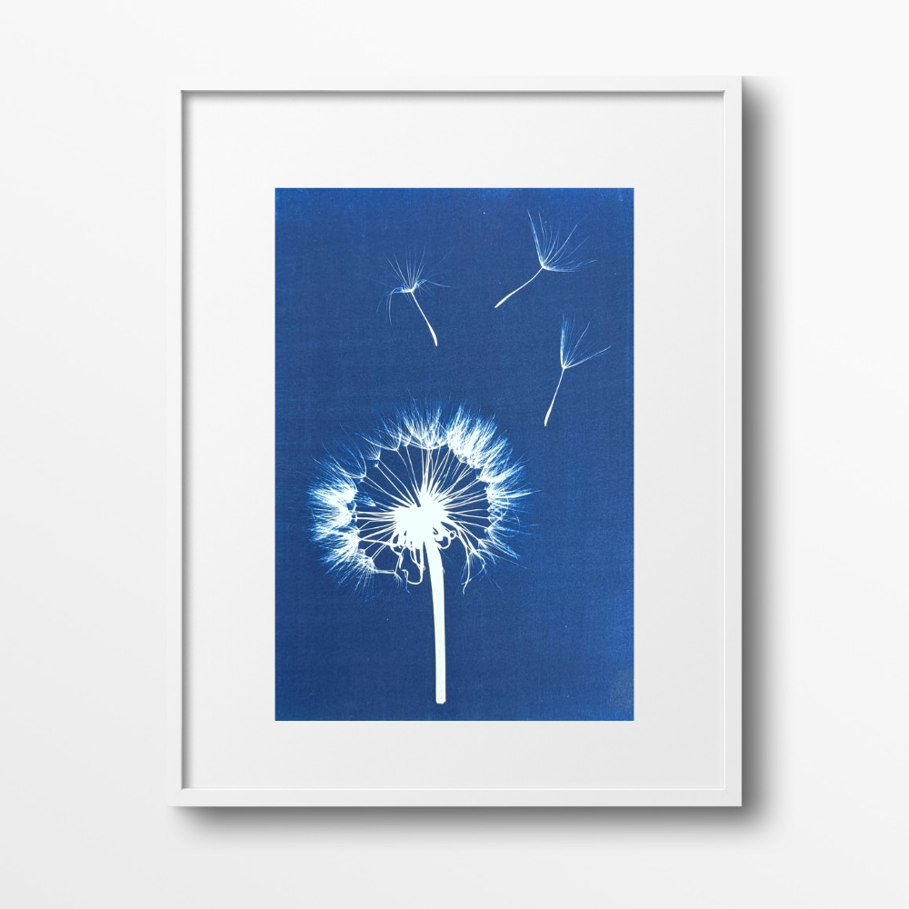 Dandelion Wall Art Print, Limited Edition A3