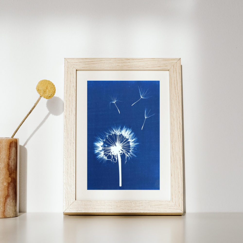 Dandelion Wall Art Print, Limited Edition A3