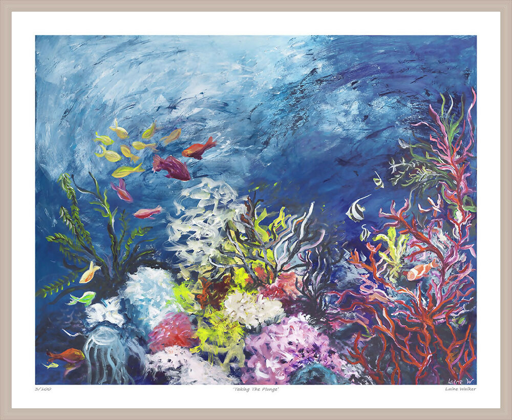 taking the plunge framed, mdeit 1024