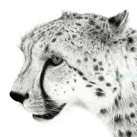 Print - Cheetah Pencil Drawing