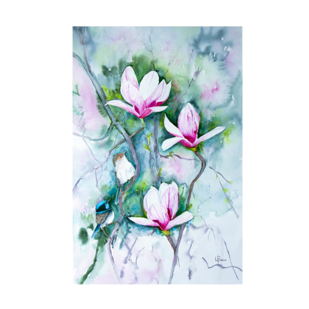 Fairy Wrens and Magnolia A3 Fine Art Print