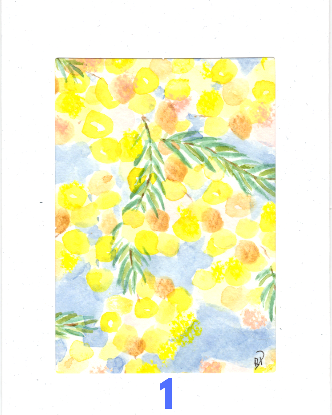 Original Hand-Painted Greeting Card I Wattle Collection