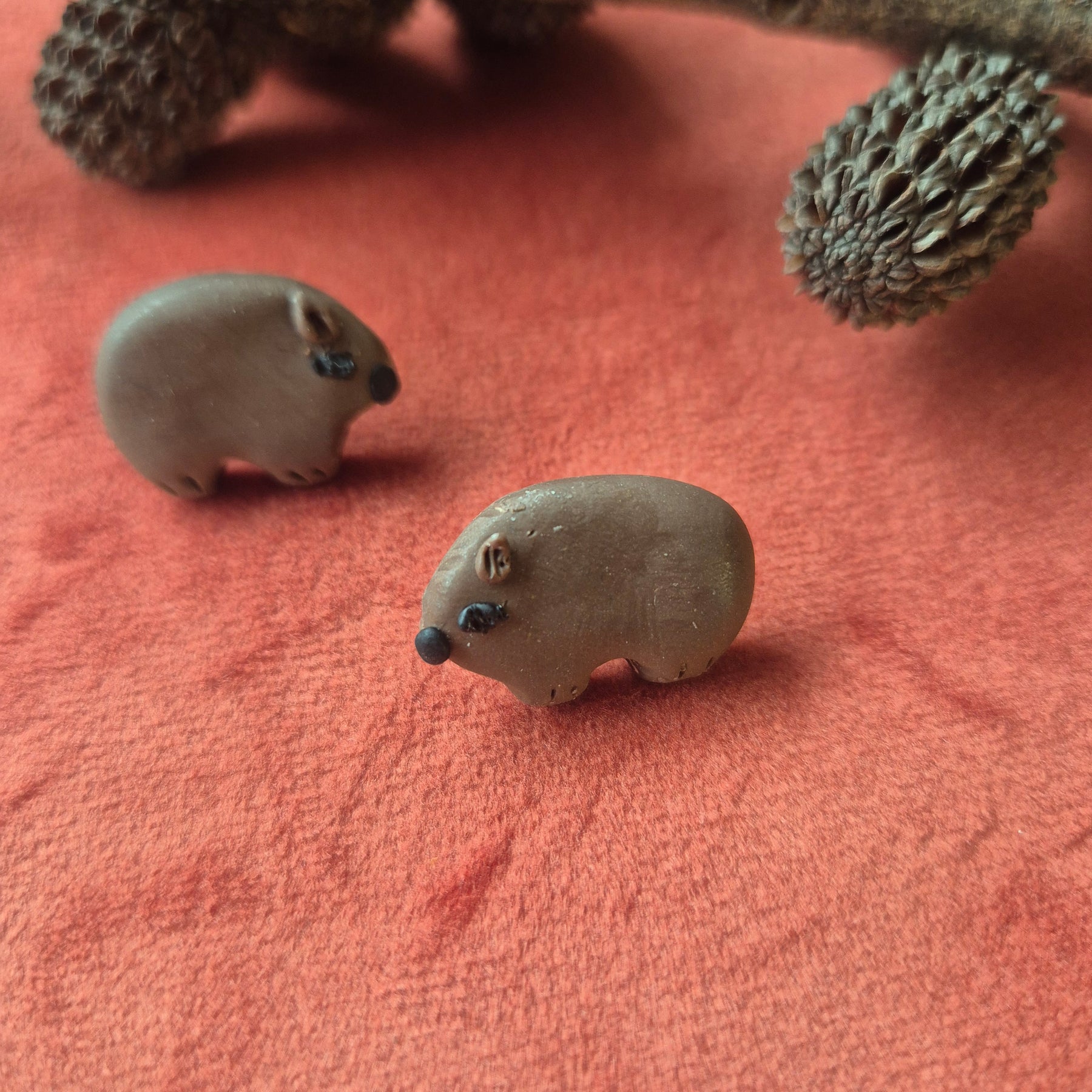 Wombat Earrings