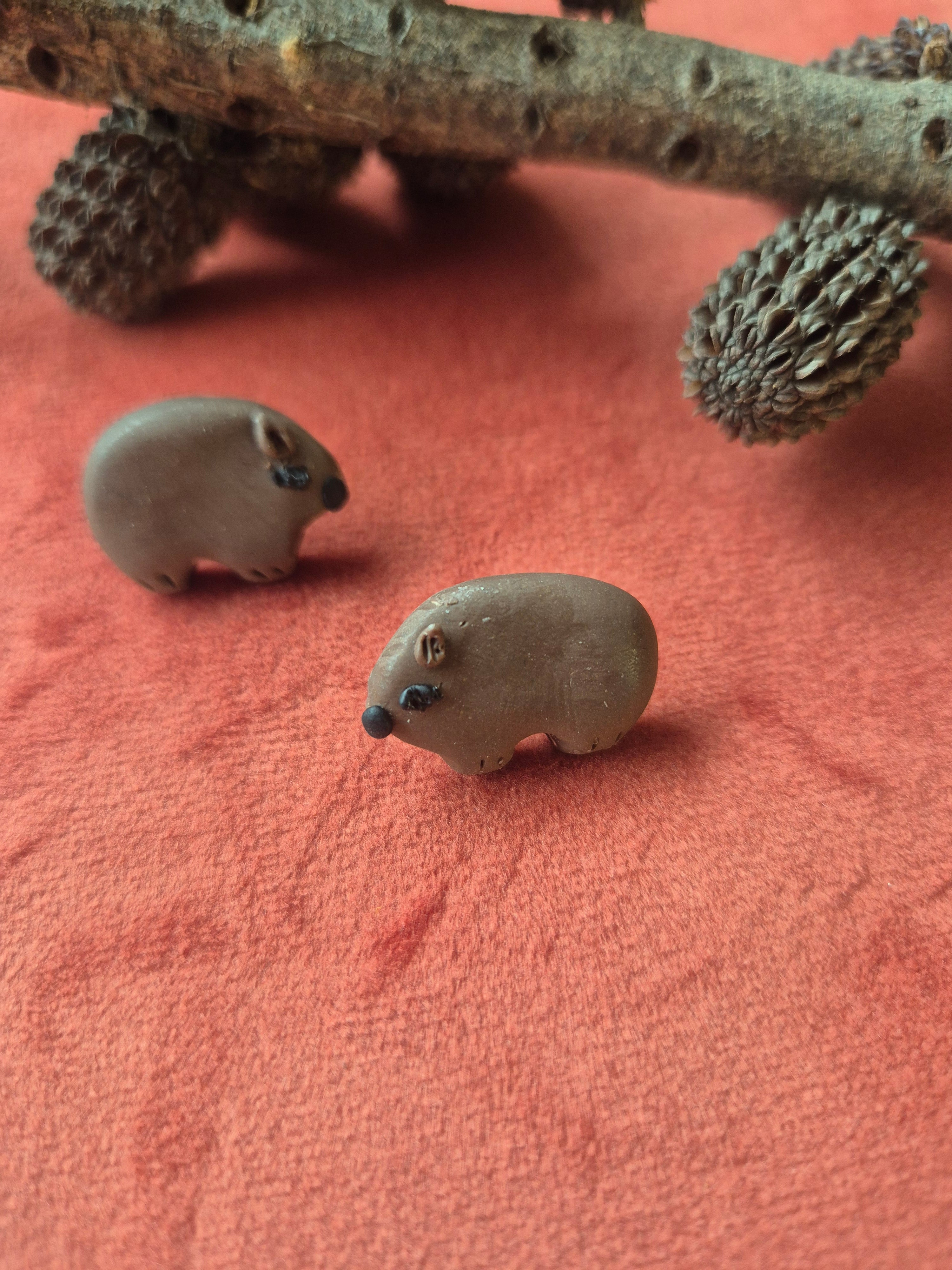 Wombat Earrings