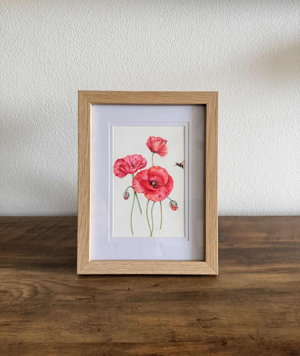 Red Poppy Botanical Art Card - Handmade Watercolor Greeting Card