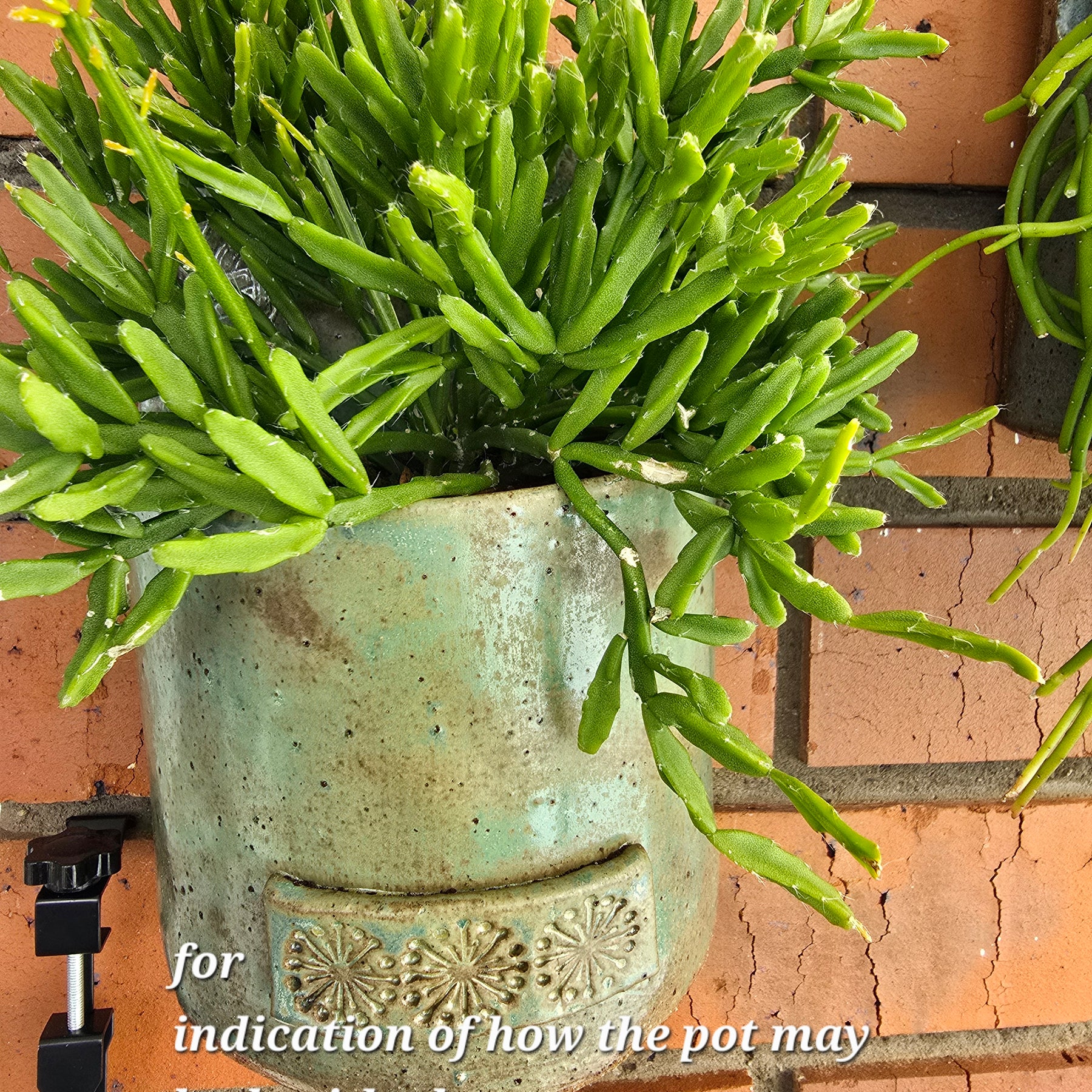 Flowers and bees wall-hanging plant pot