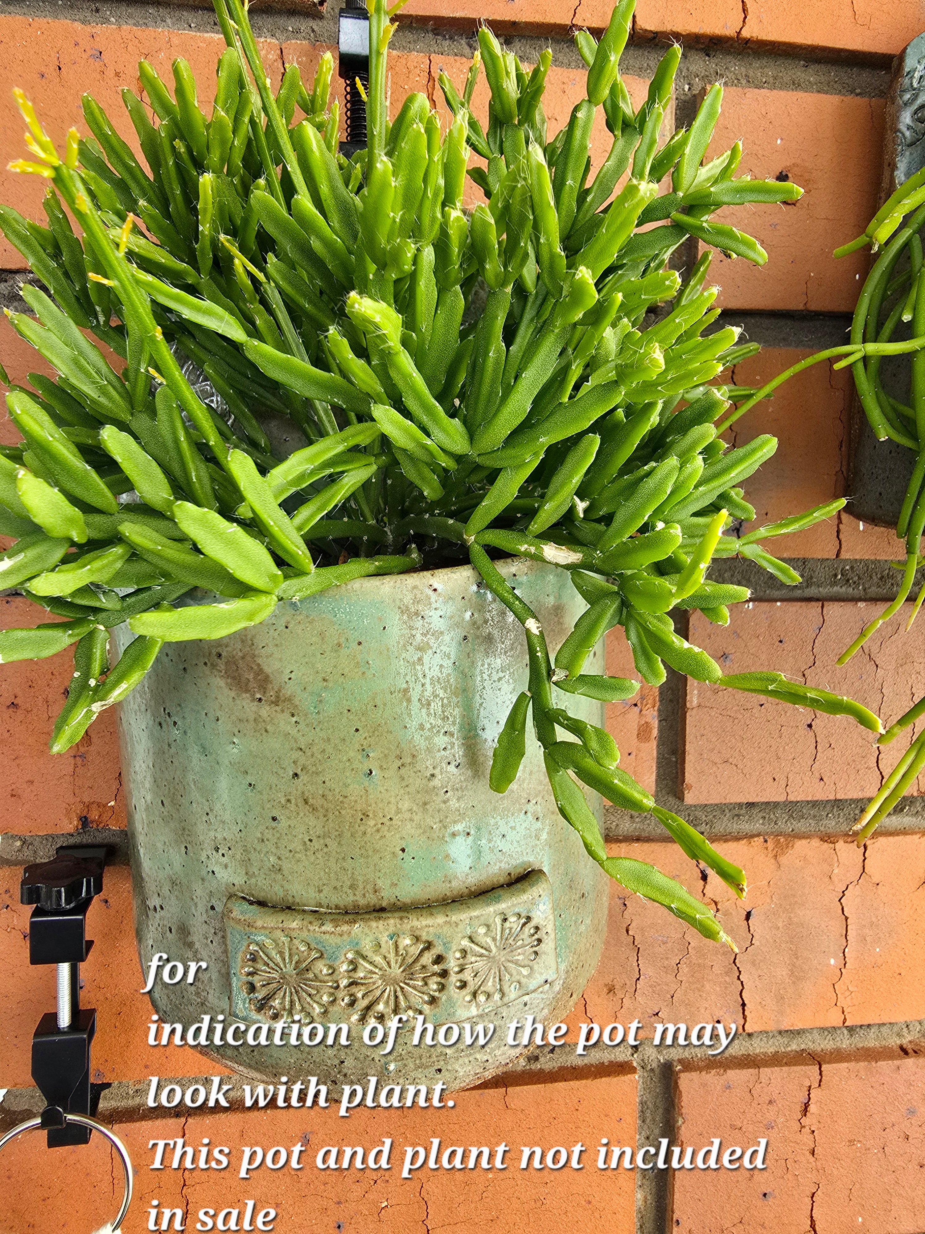 Flowers and bees wall-hanging plant pot
