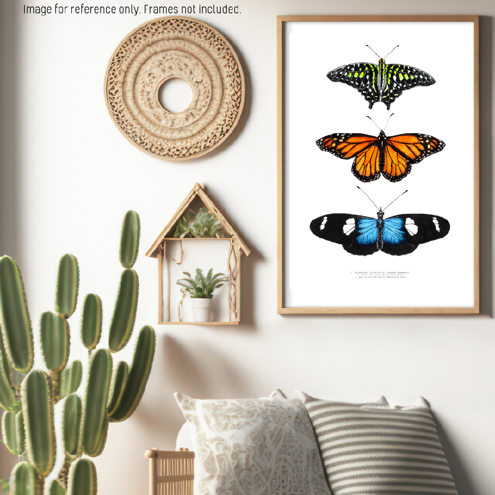 fauna series - butterfly trio