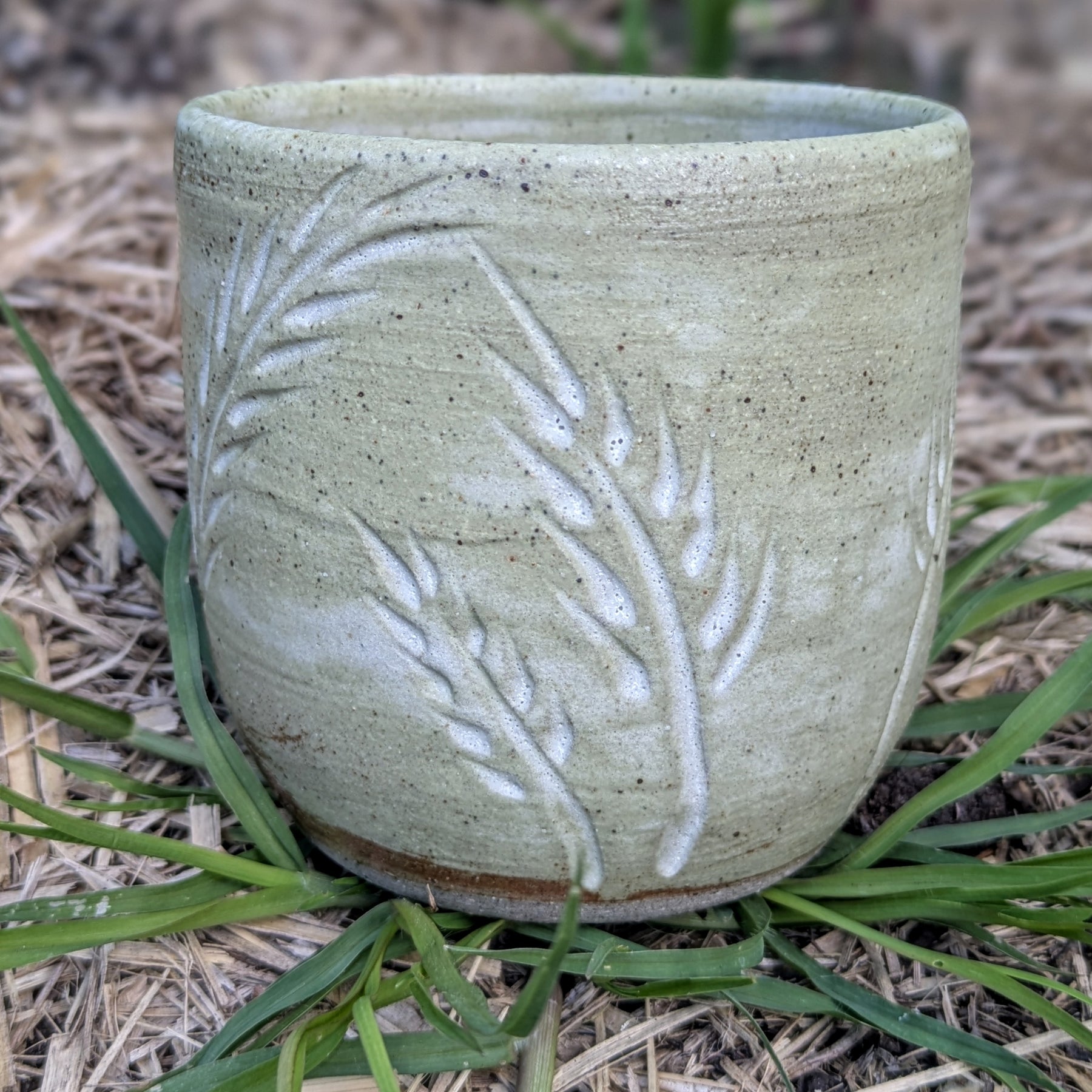 Wheat cup