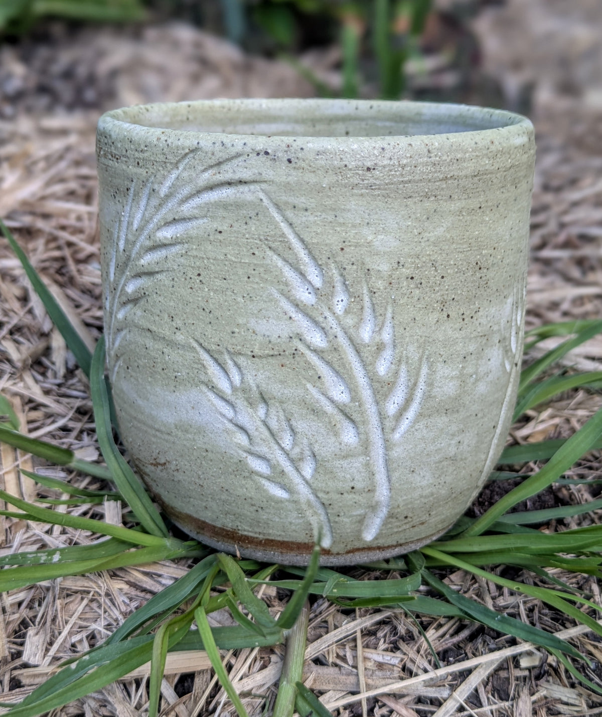 Wheat cup