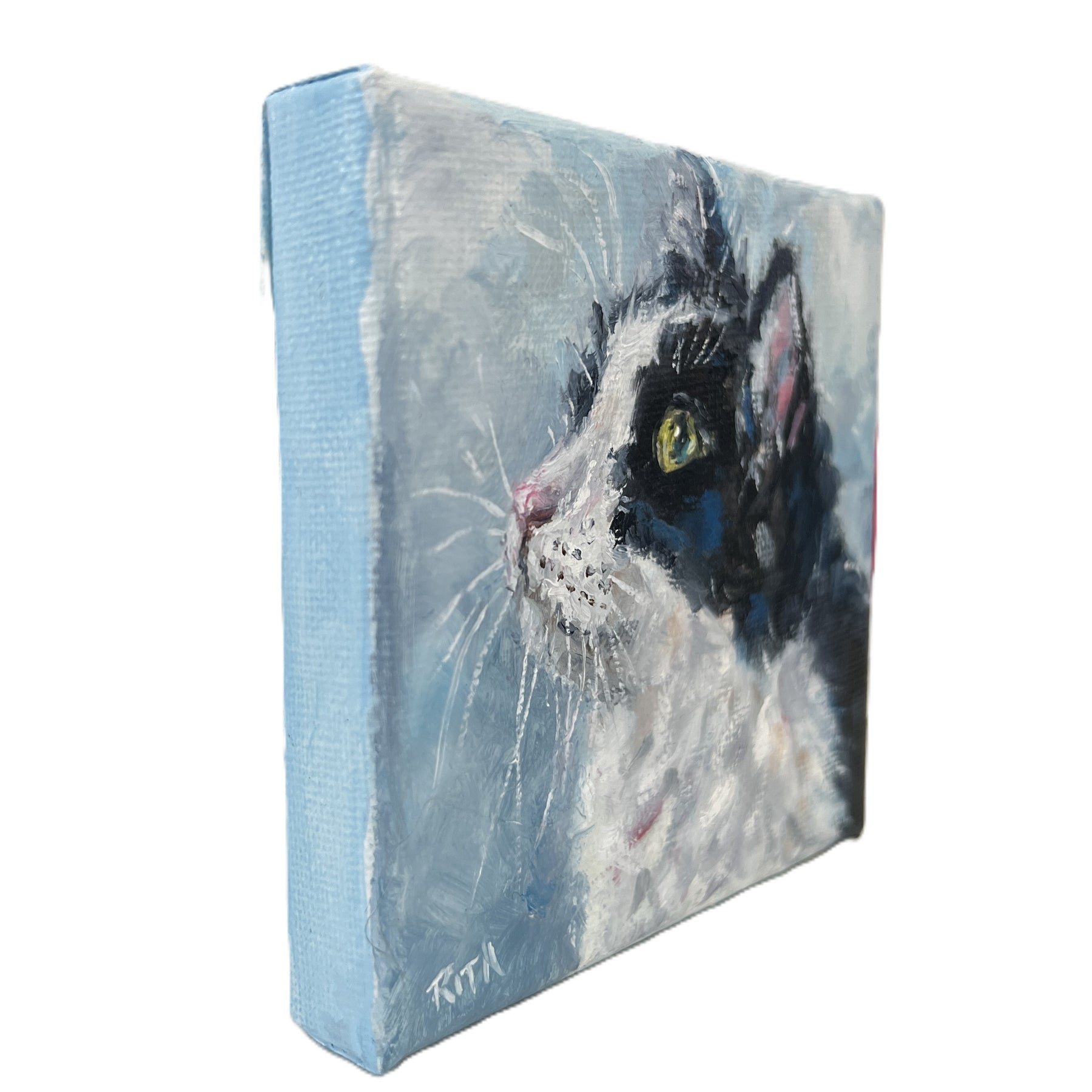 Little Observer | Original Mini Cat Oil Painting