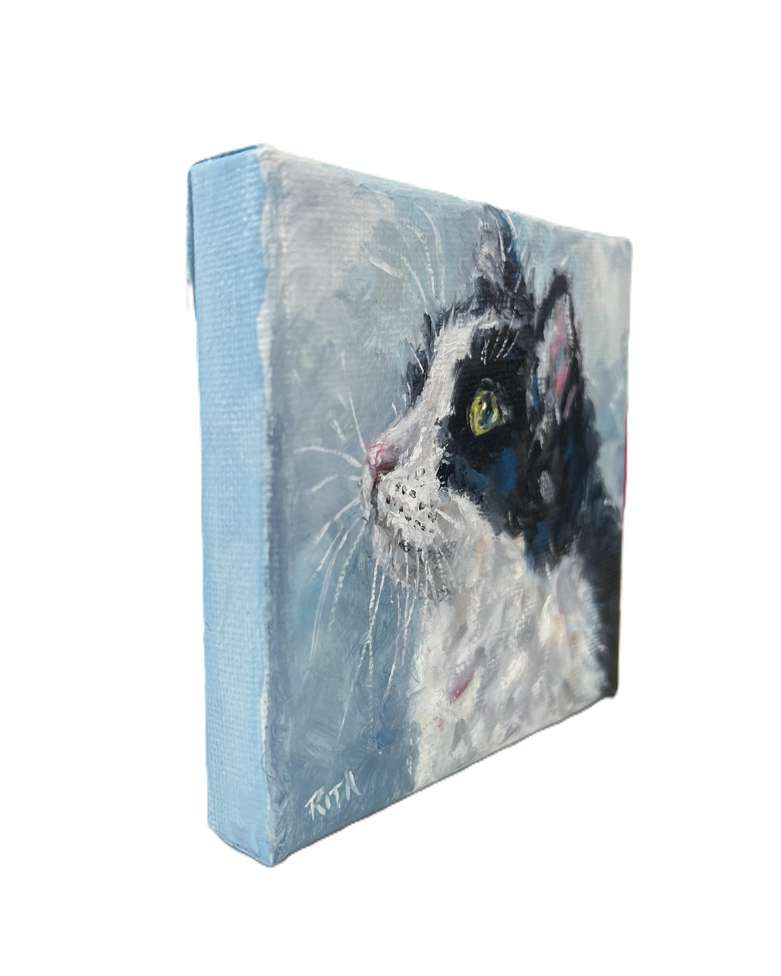Little Observer | Original Mini Cat Oil Painting