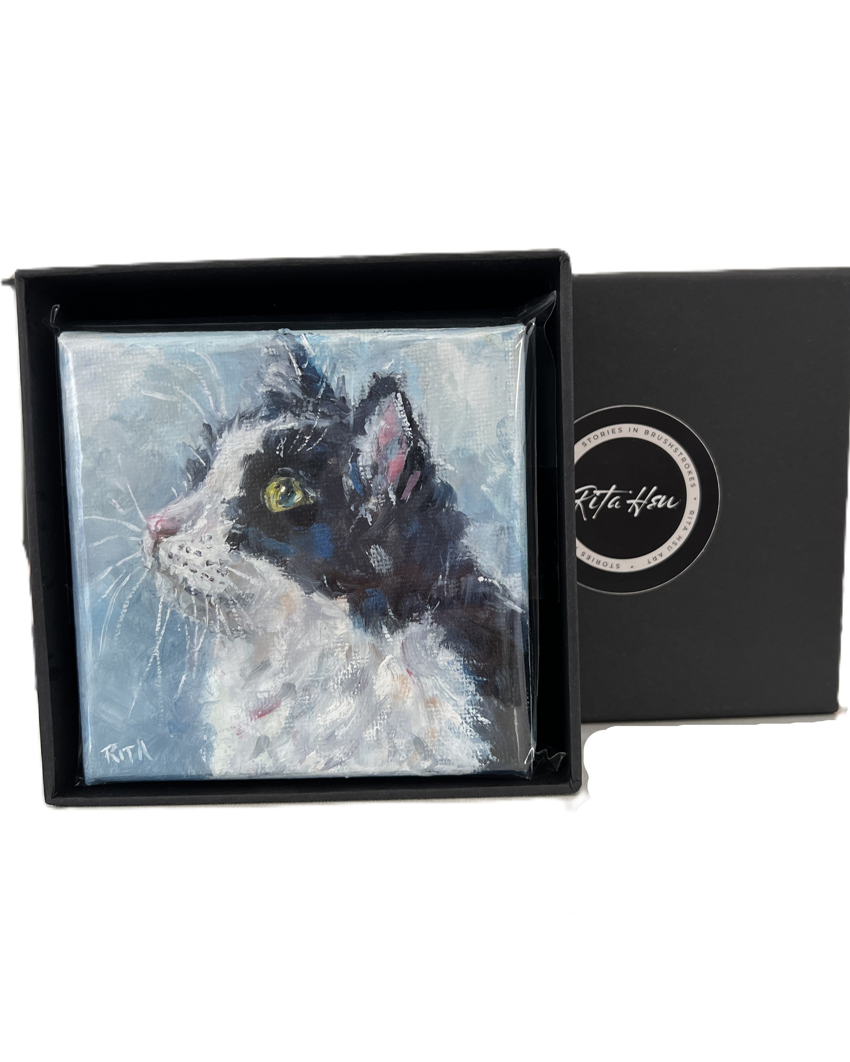 Little Observer | Original Mini Cat Oil Painting