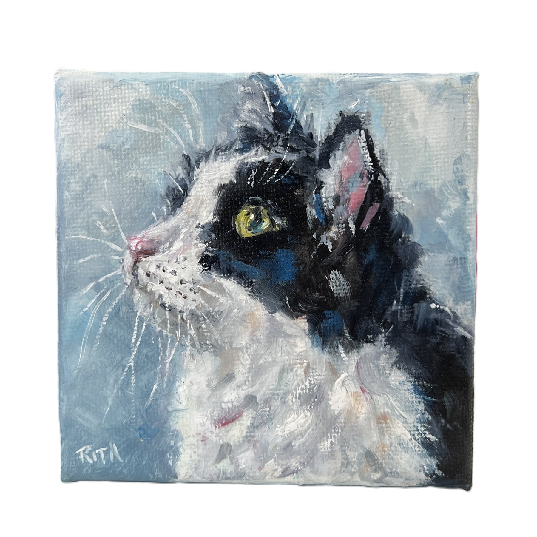 Little Observer | Original Mini Cat Oil Painting