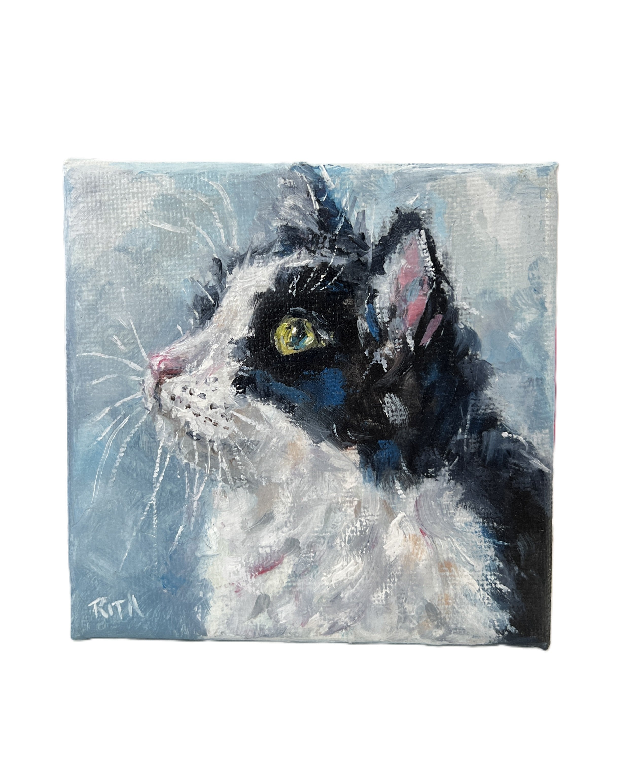 Little Observer | Original Mini Cat Oil Painting