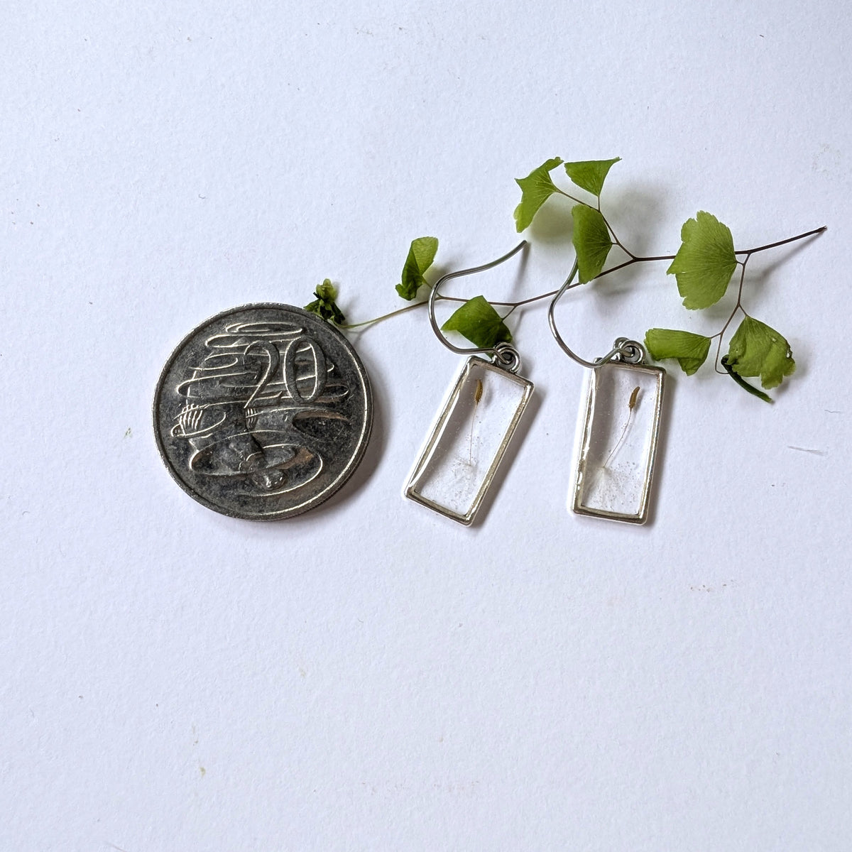 Real Dandelion Seed Rectangular Earrings