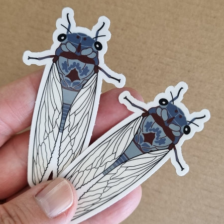Light Blue Cicada Bug Insect Sticker