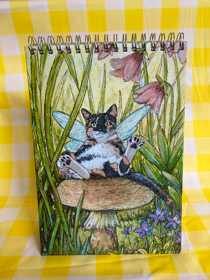 Fairy Cat Sparkly Notebooks with Rainbow Pages