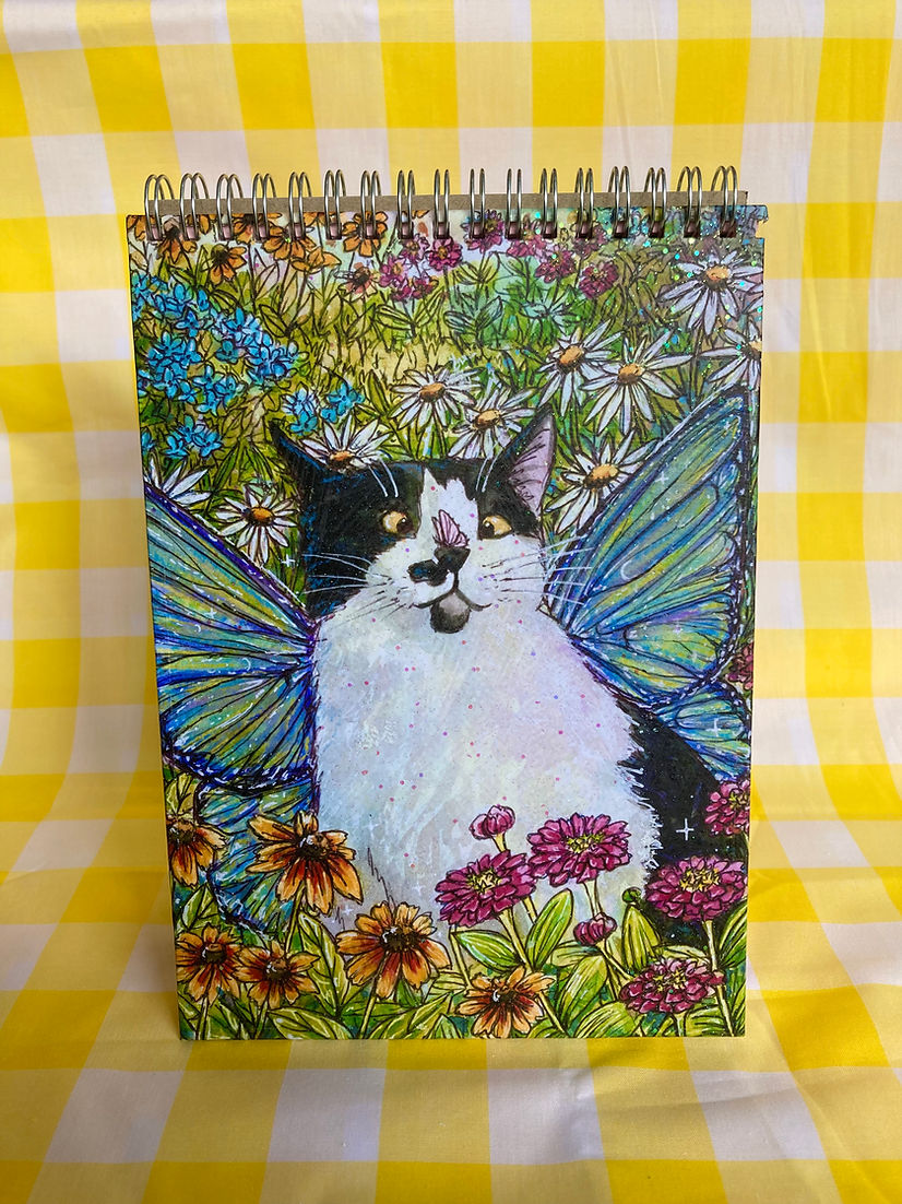 Fairy Cat Sparkly Notebooks with Rainbow Pages