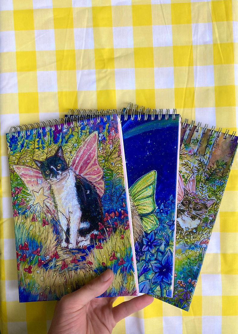 Fairy Cat Sparkly Notebooks with Rainbow Pages