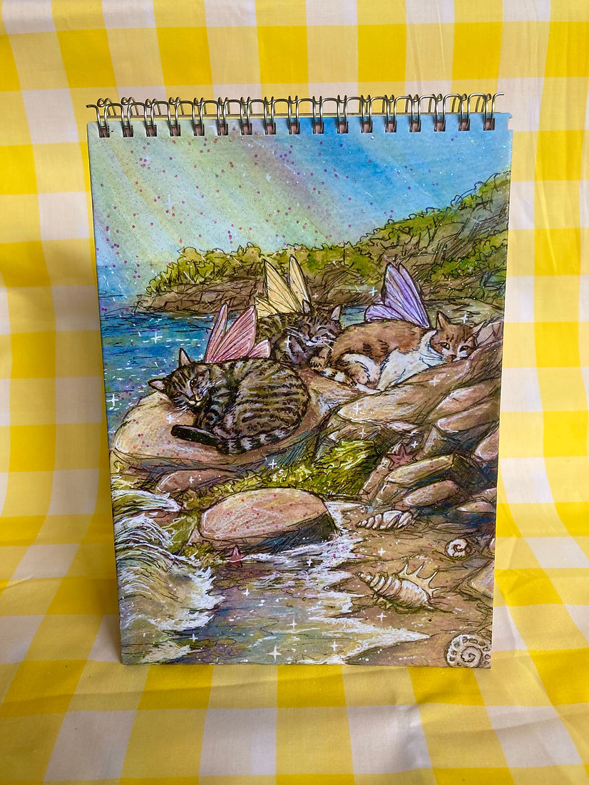 Fairy Cat Sparkly Notebooks with Rainbow Pages