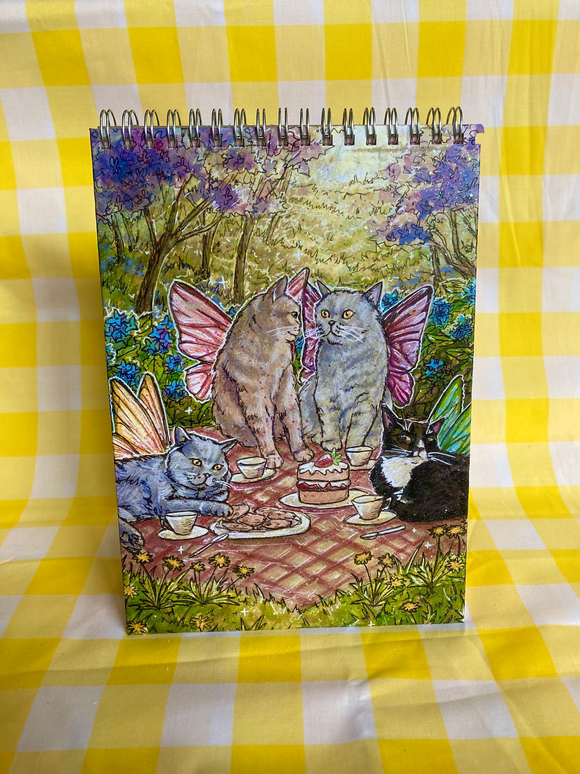 Fairy Cat Sparkly Notebooks with Rainbow Pages