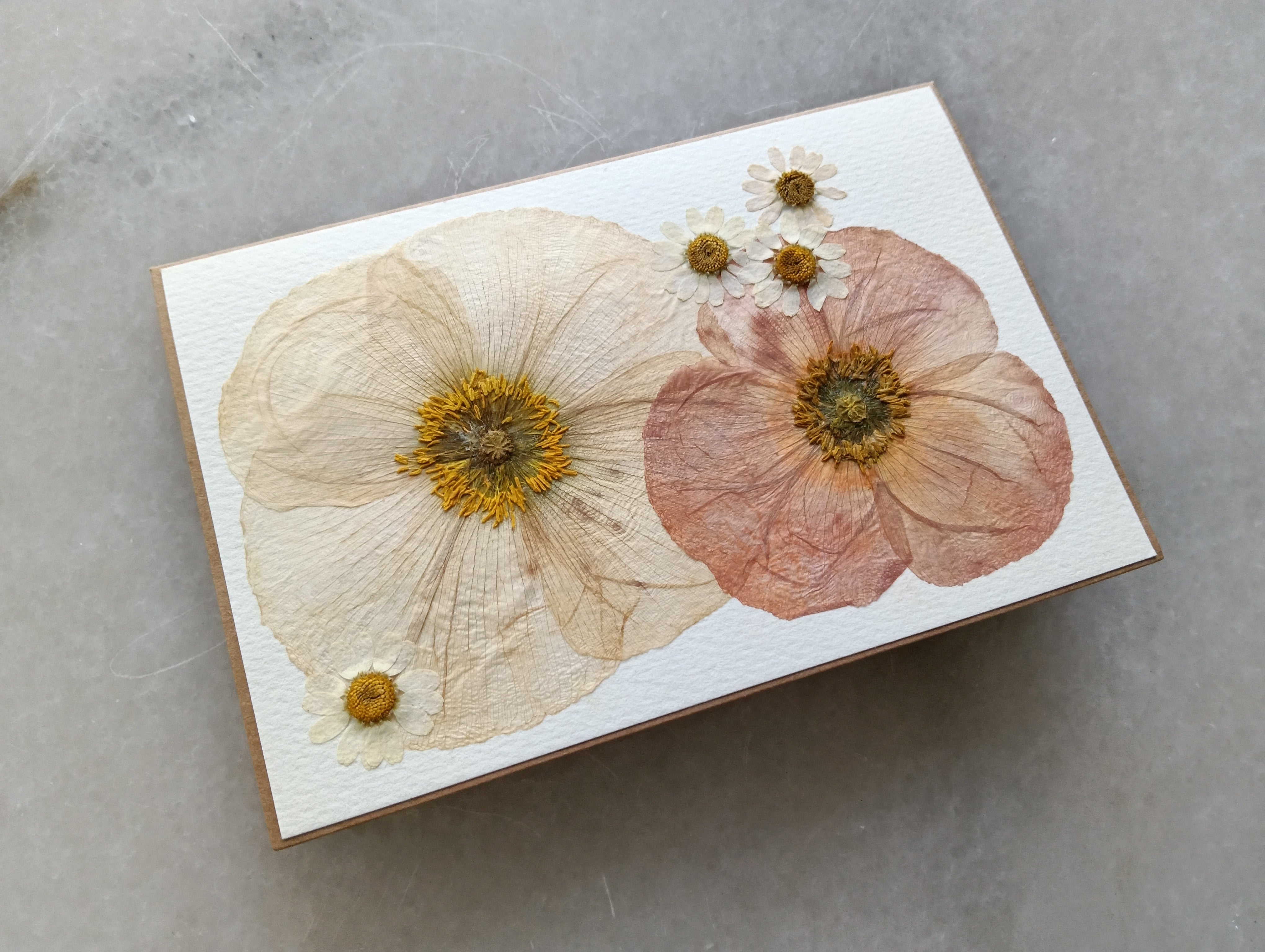 Sweet Poppy | Pressed Flower Handmade Card