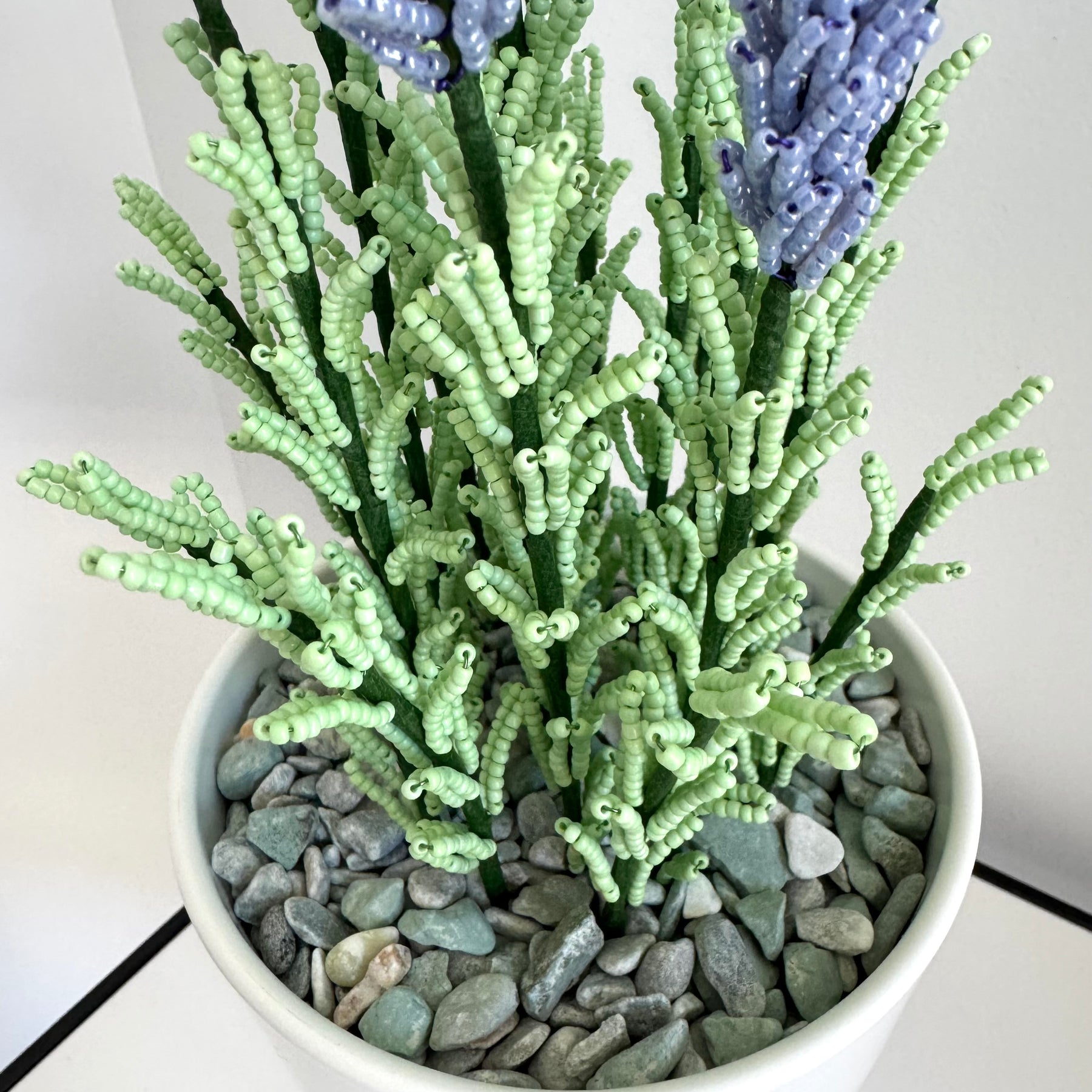 French-beaded potted lavender