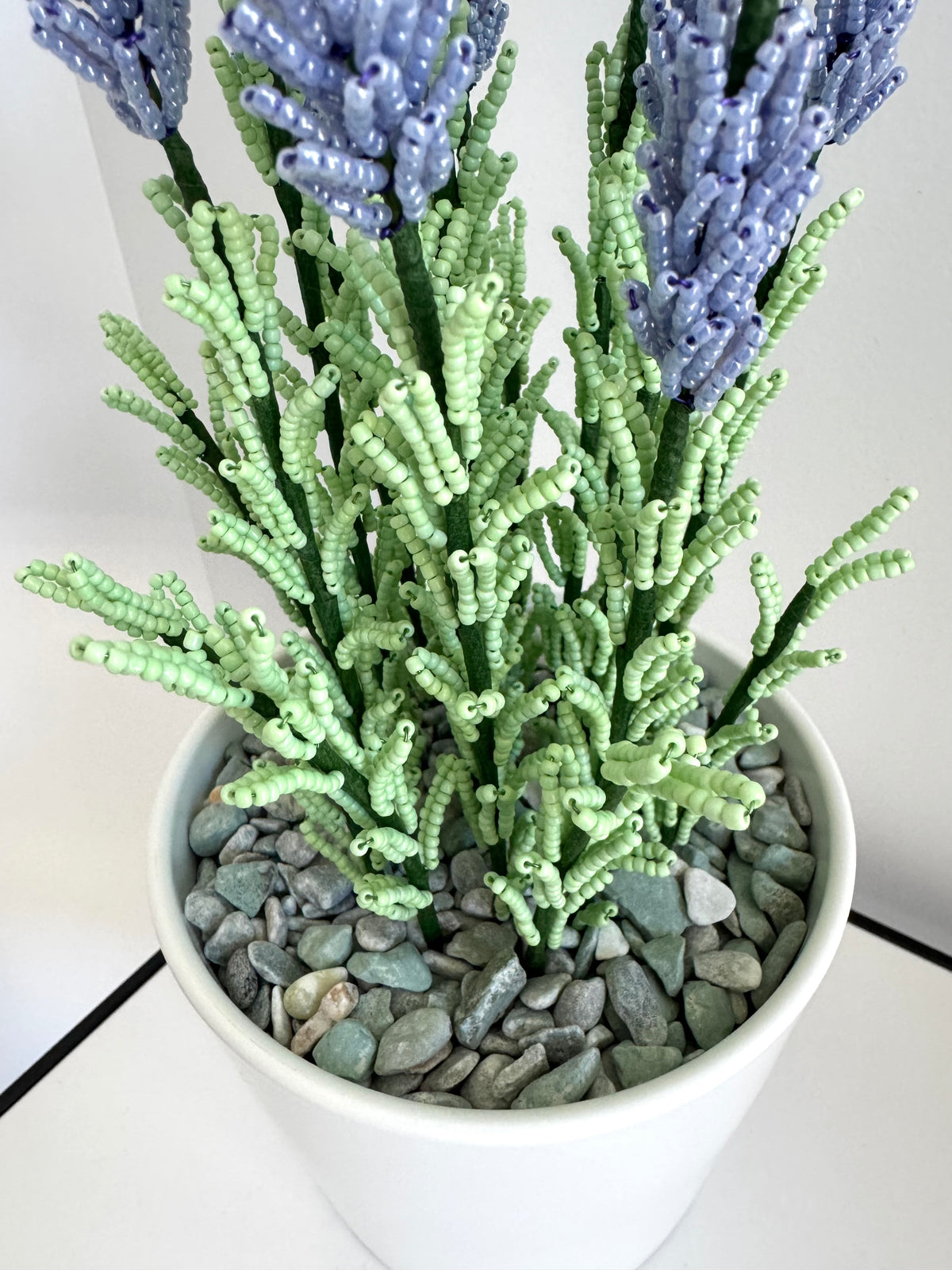 French-beaded potted lavender