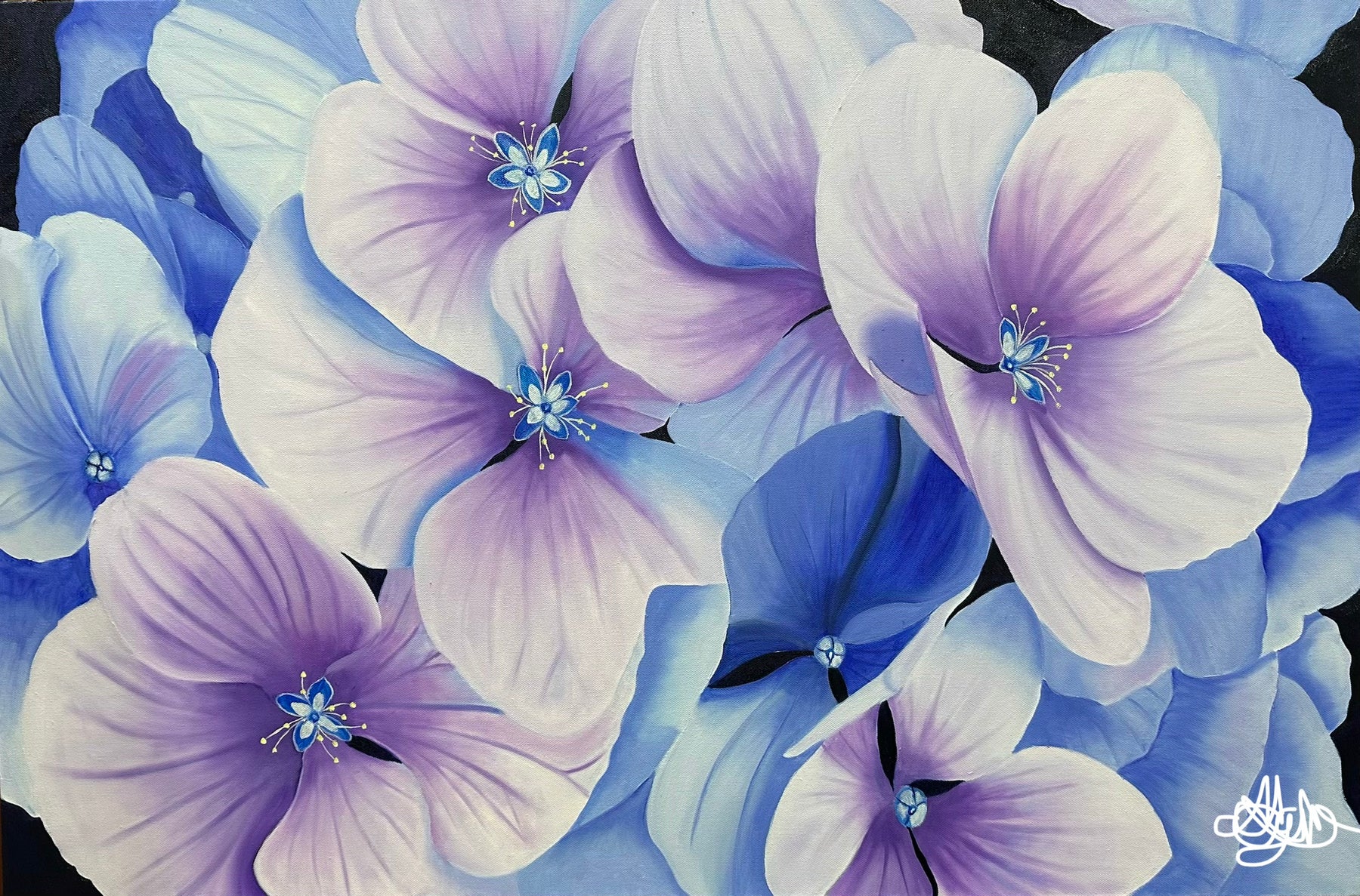 'Serena' - Original Oil Painting - Hand Painted - Hydrangea