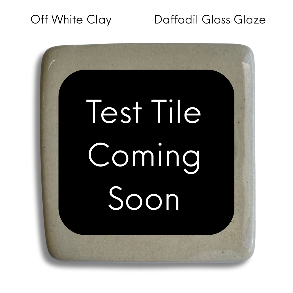 CUSTOM - Ceramic Garlic/Ginger Grater + Herb Stripper in Off White Clay